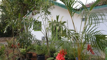 Jardín