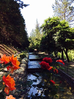 Property grounds - Convento di Acqua Premula (Sellano)