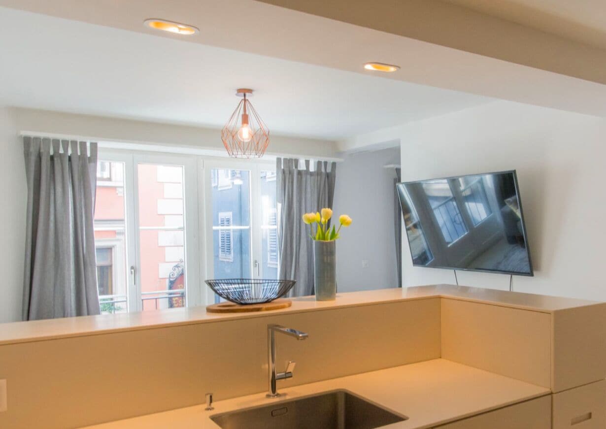 Departamento Deluxe, 1 cama matrimonial y sofá cama | Cocina privada | Refrigerador, microondas, horno y parrilla de estufa 