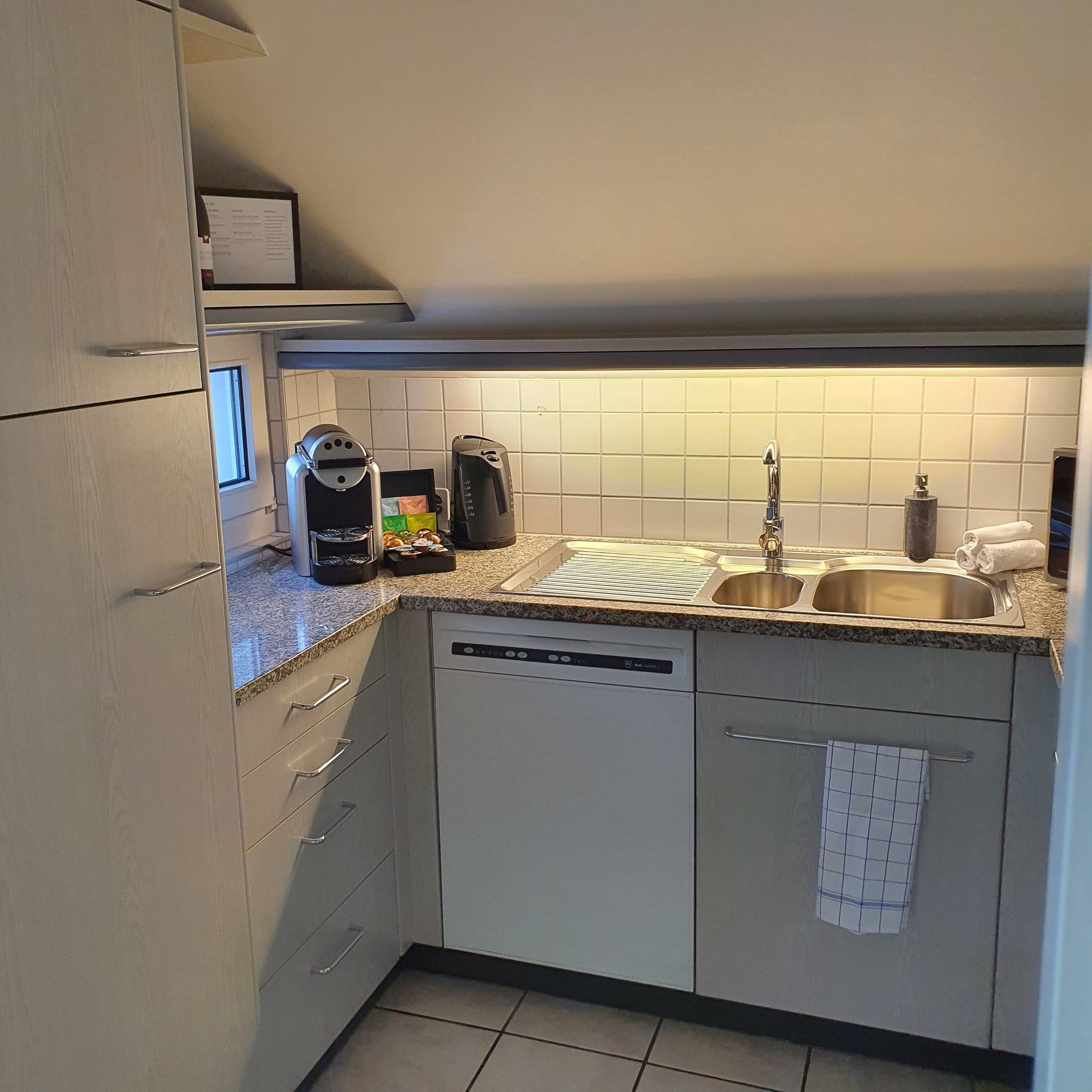 city apartment, 2 bedrooms | private kitchen | fridge, oven, stovetop, dishwasher