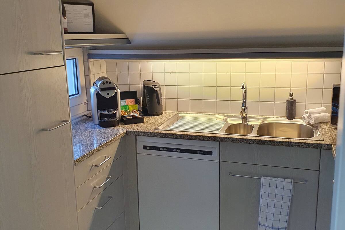 city apartment, 2 bedrooms | private kitchen | fridge, oven, stovetop, dishwasher