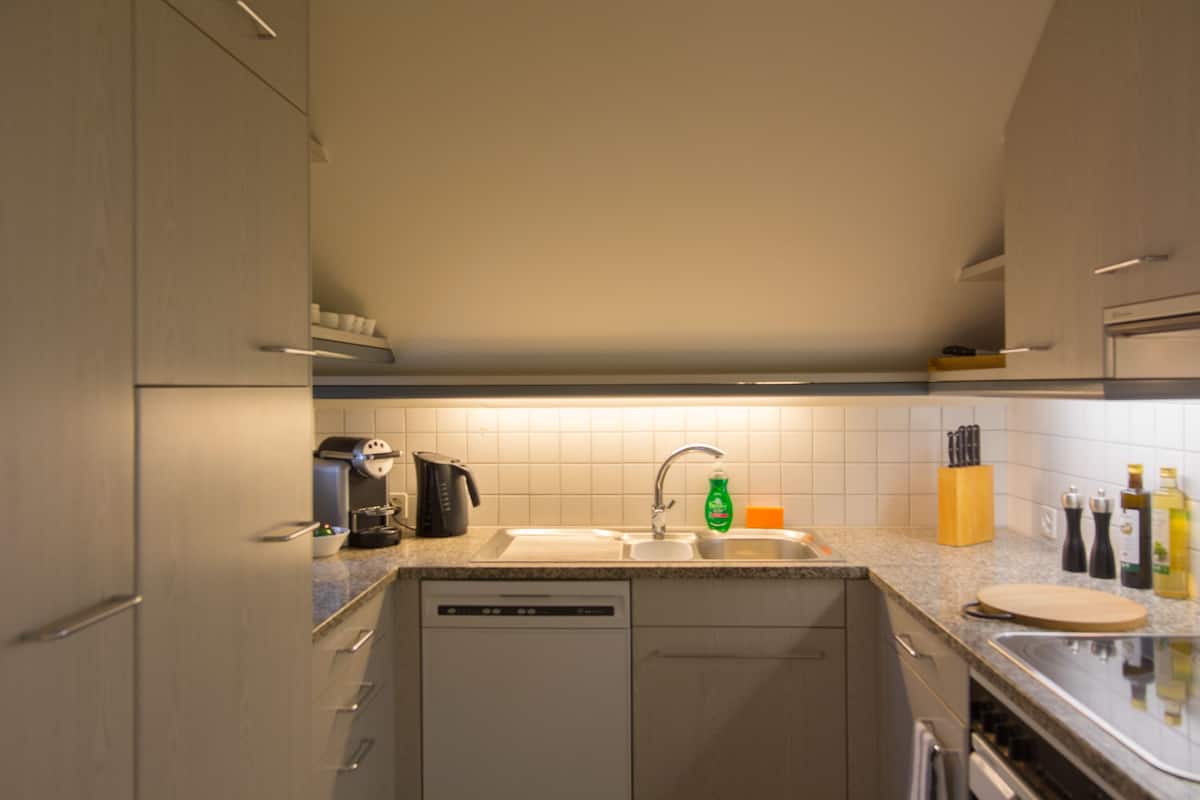 city apartment, 2 bedrooms | private kitchen | fridge, oven, stovetop, dishwasher