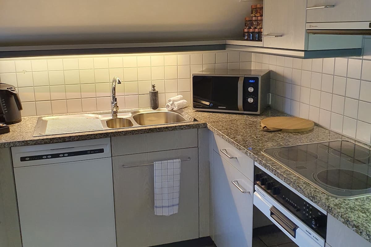 city apartment, 2 bedrooms | private kitchen | fridge, oven, stovetop, dishwasher