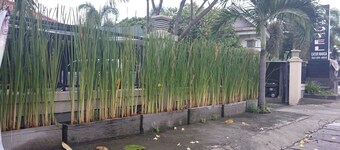 Hotel Catur Warga