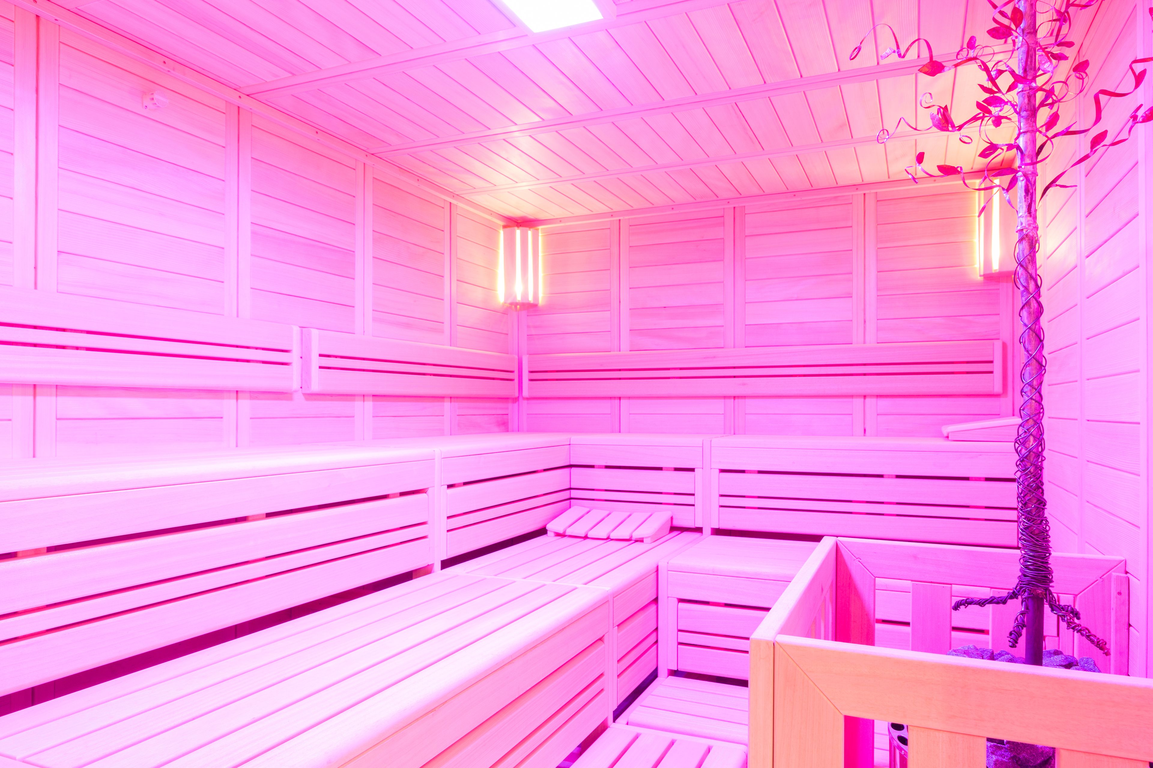 sauna