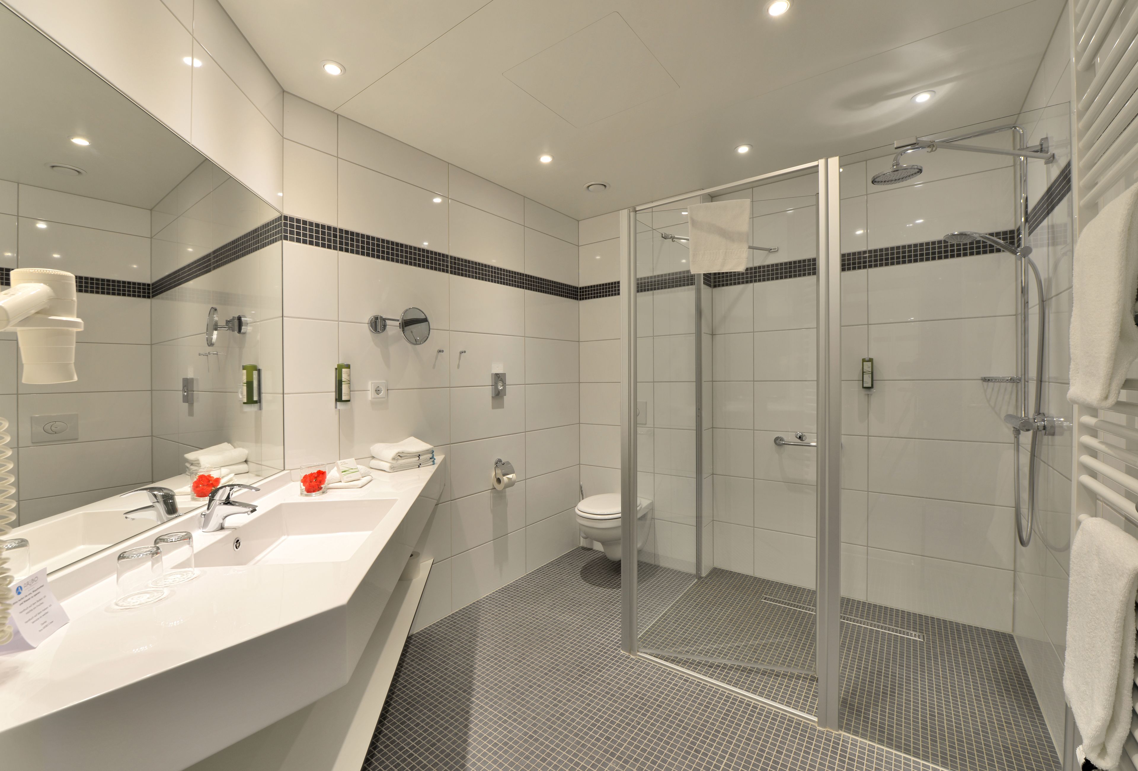 shower, rainfall showerhead, free toiletries, hair dryer