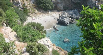 Koru Beach Club