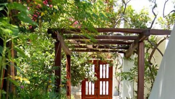 A narrow stone pathway leading to a wooden door, flanked by white walls and potted plants. - Villa Pinelopi (Mykonos)