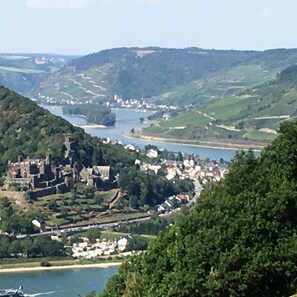 A coastal town with a historic castle, lush greenery, and a river. - Landgasthof Germania (Ruedesheim am Rhein)