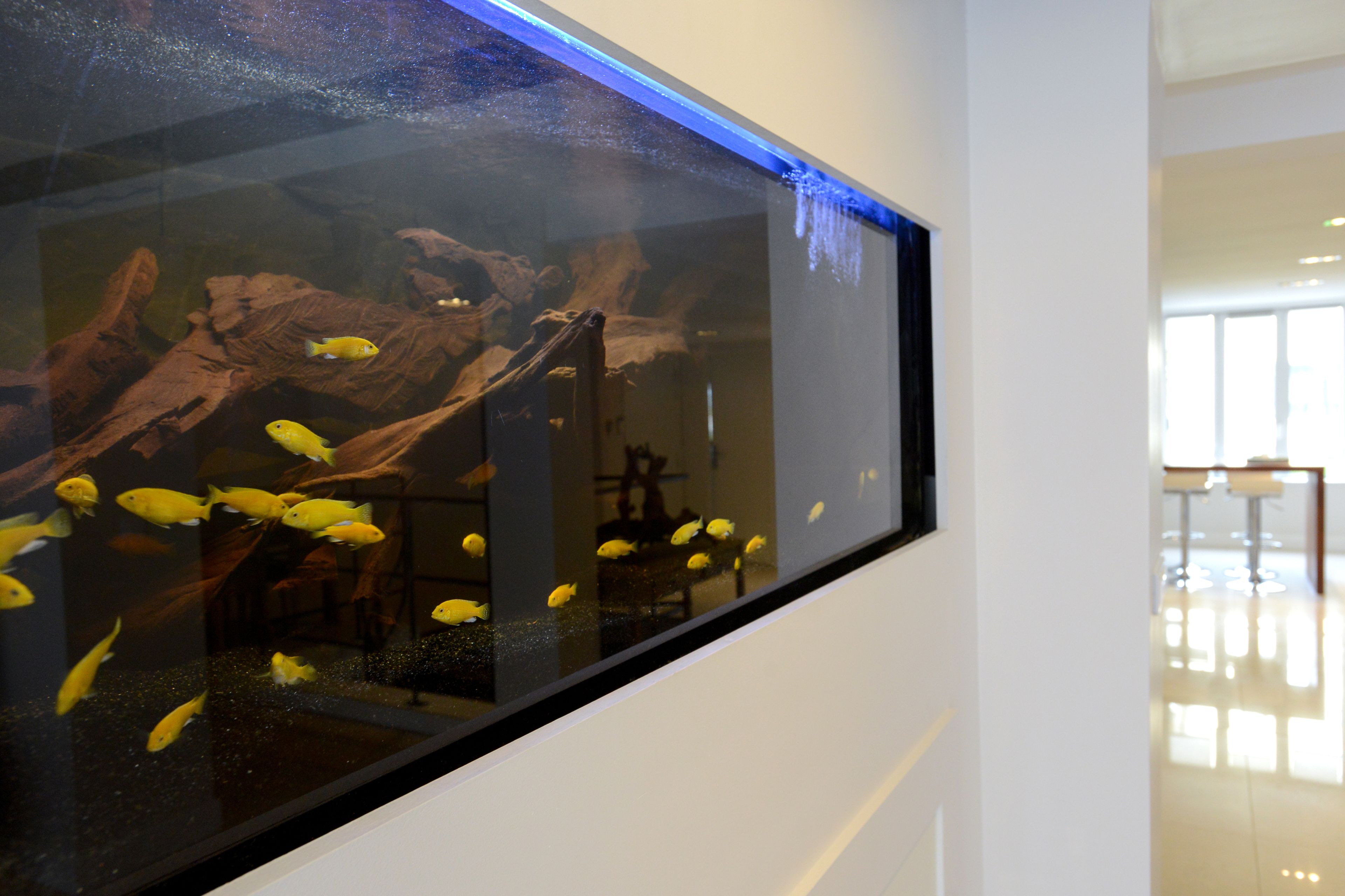 Foto - Au 30 Lille Centre Grand Palais