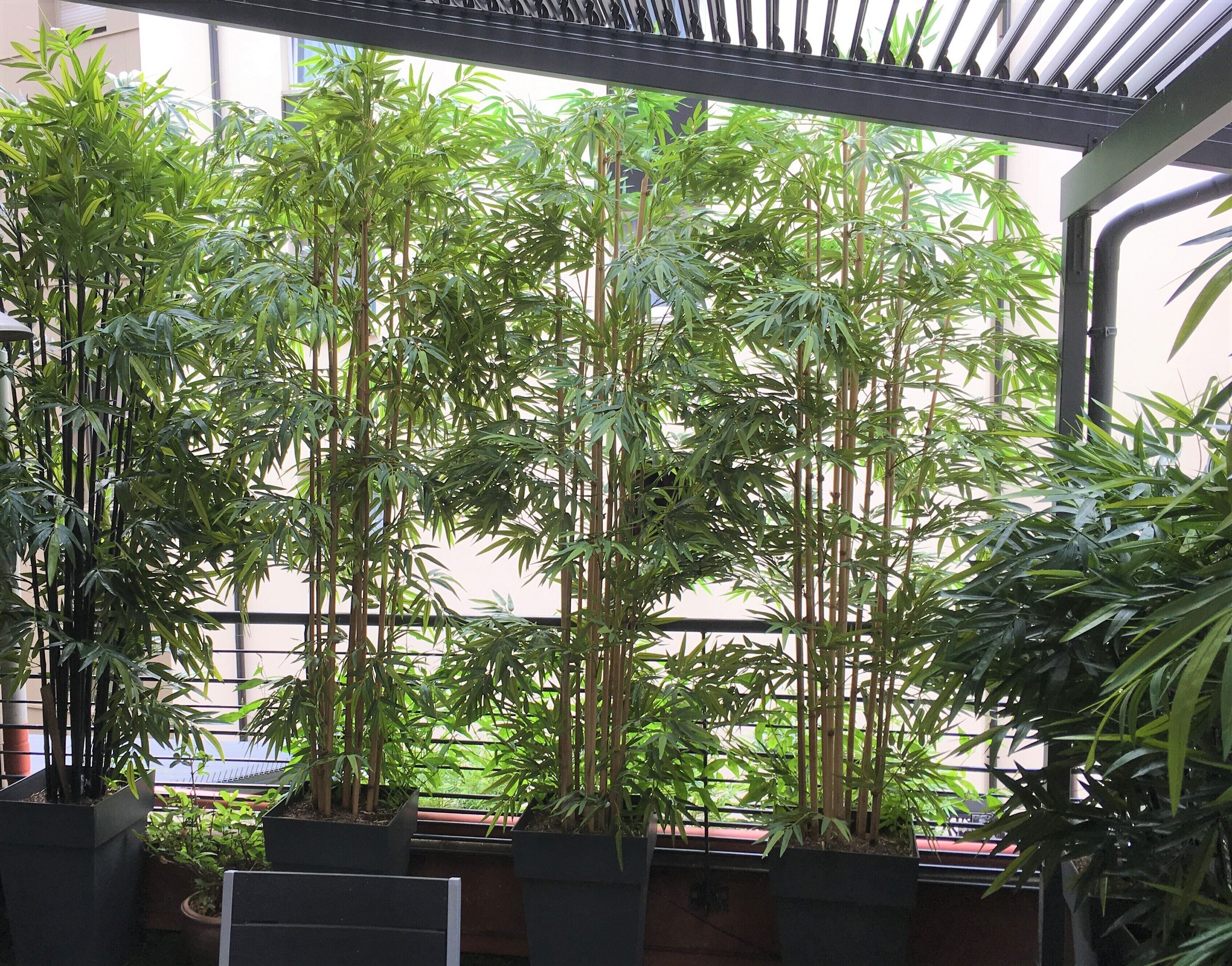 Foto - Au 30 Lille Centre Grand Palais