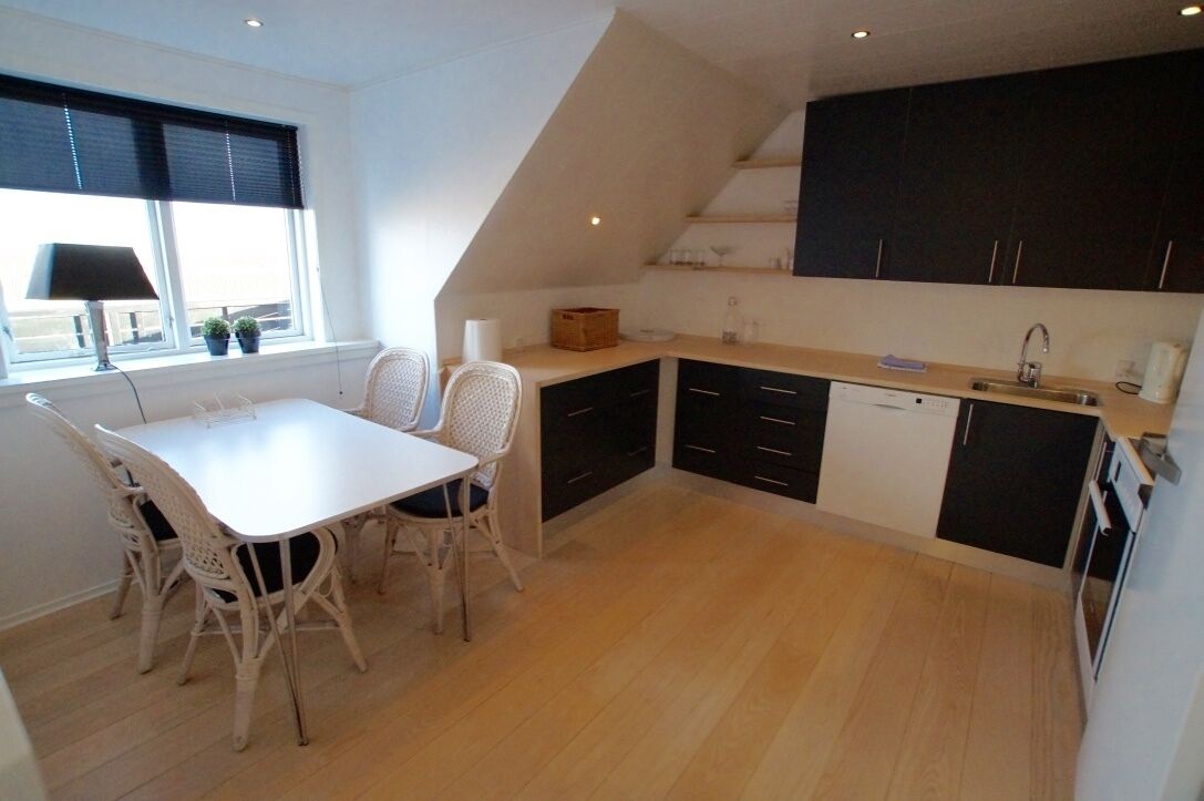 apartment, 3 bedrooms, patio (gæstgiverstien) | private kitchen | fridge, oven, cookware/dishes/utensils