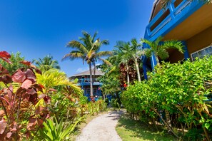 Garden - White Sands Cove (San Pedro)