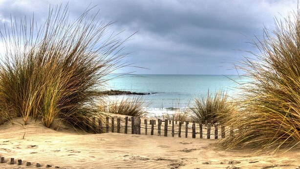 Strand