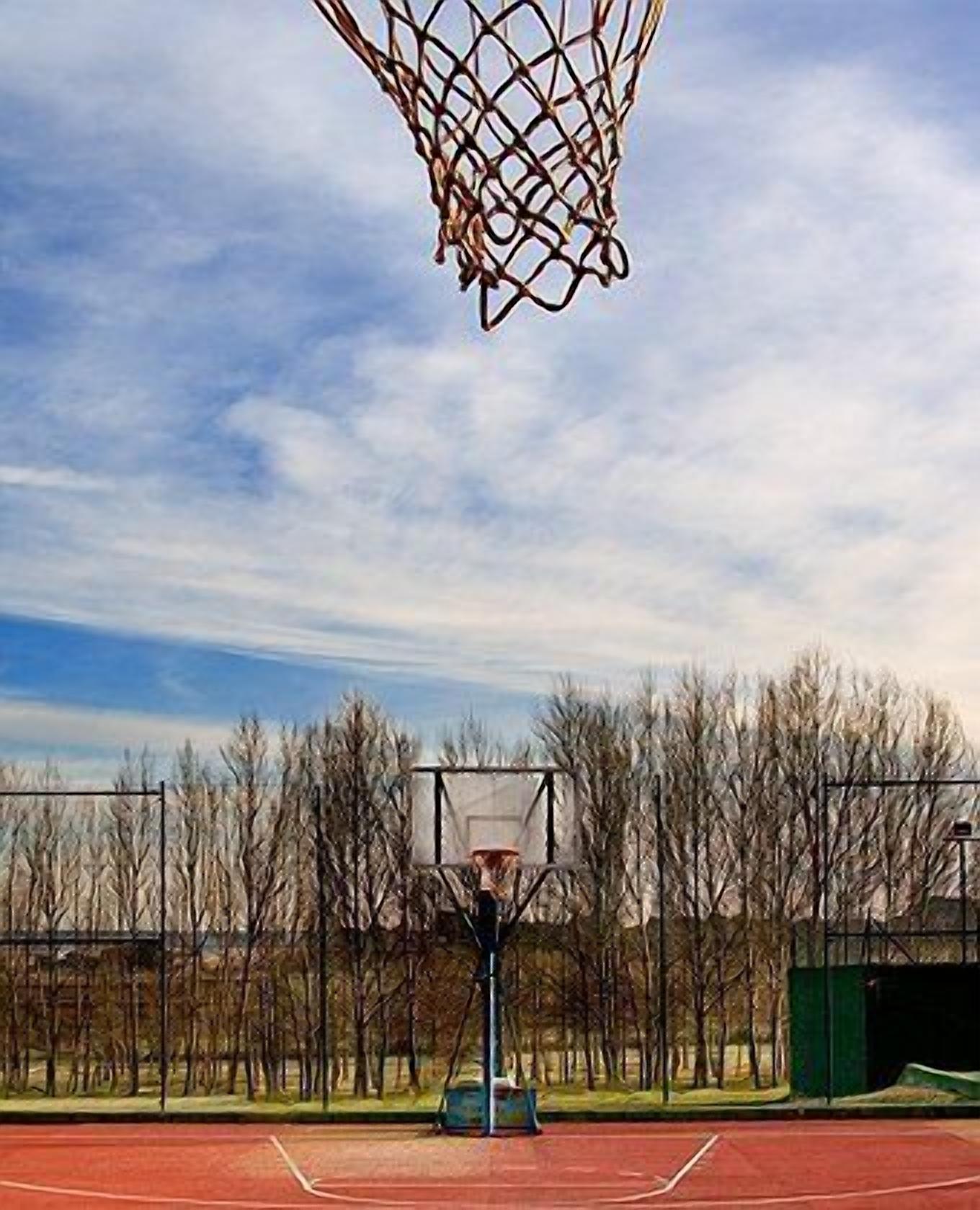 Un terrain de basket en plein air, avec un panier, entouré d’arbres sans feuilles et sous un ciel dégagé.