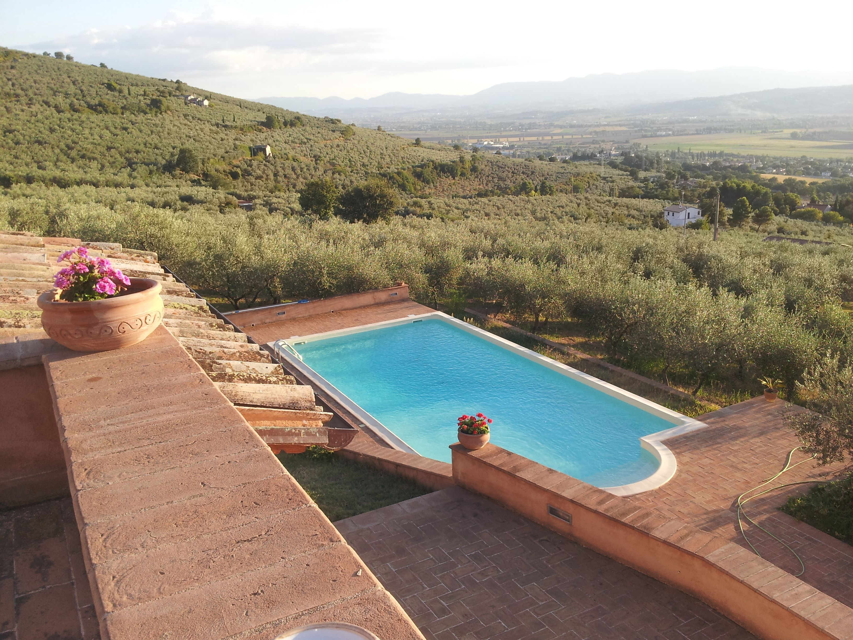Ein rechteckiger Pool mit Steinrand, umgeben von einer Ziegelterrasse.