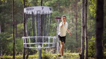 A person aiming a disc at a target in a wooded area.