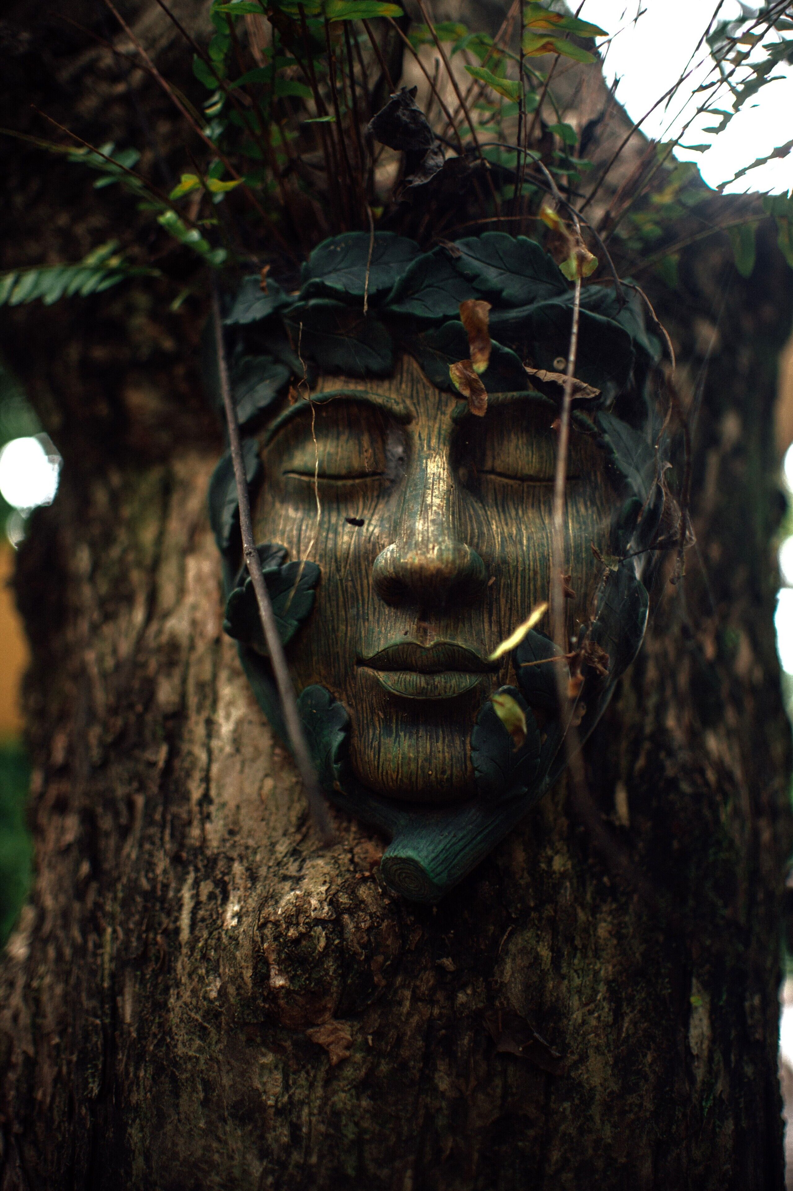 A carved wooden face on a tree trunk, surrounded by foliage.