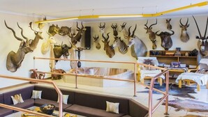 Una habitación con una decoración original en la pared, que muestra diferentes monturas de animales, un sofá y una mesita de centro.