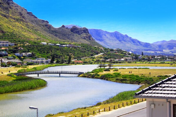 Property grounds - The Muize (Cape Town)