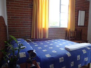 Family Double Room | Down comforters, laptop workspace, iron/ironing board, free WiFi - Posada los Dominicos (Yanhuitlan)