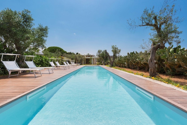 A rectangular swimming pool with a wooden deck, surrounded by lounge chairs and cacti.