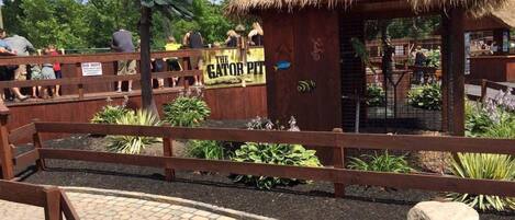 A wooden structure labeled "The Gator Pit" with a thatched roof, surrounded by a wooden fence and a paved walkway.