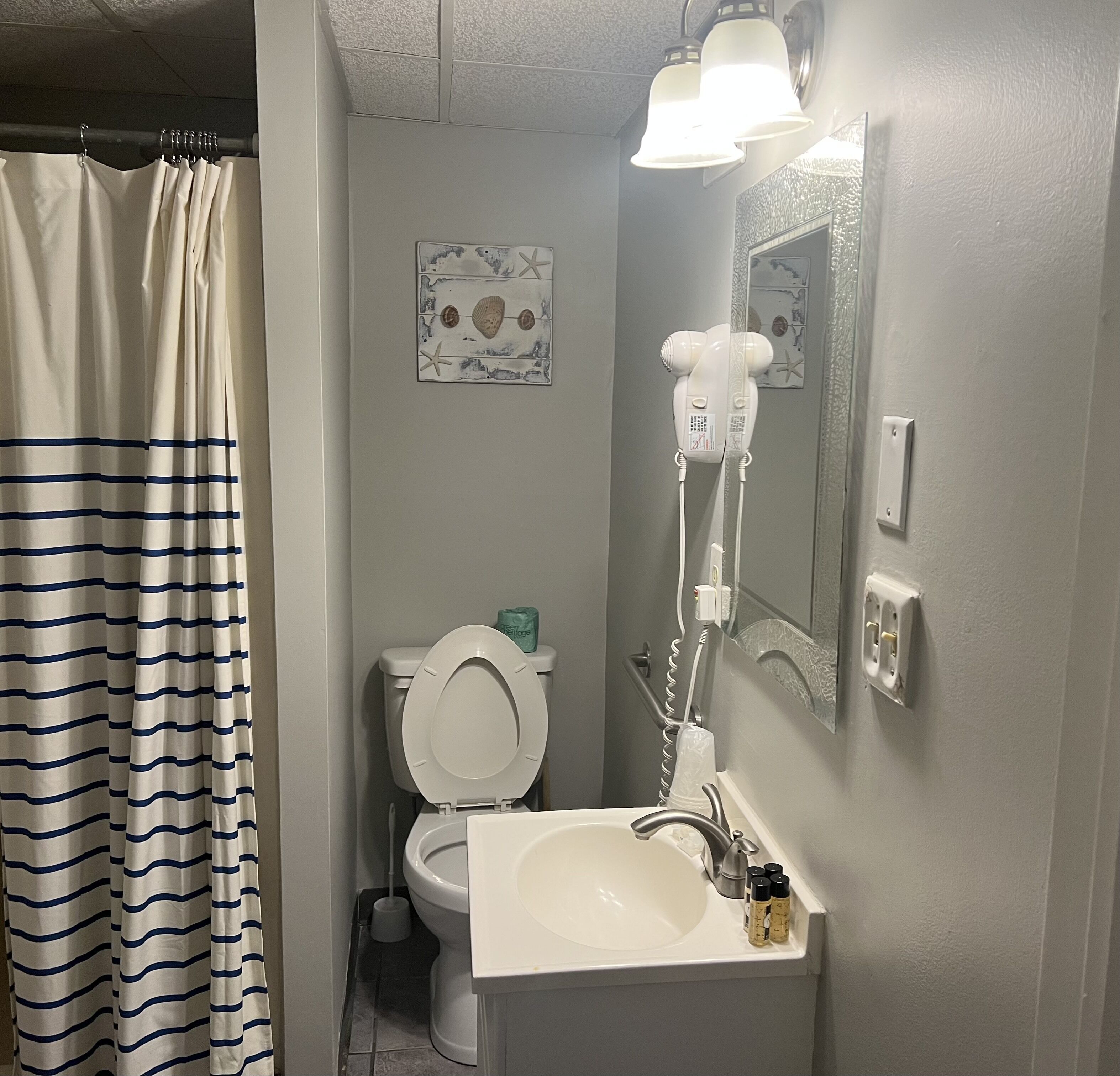 A bathroom with a toilet, sink, and shower curtain.