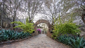 A stone pathway leading through a garden with a stone archway, surrounded by various plants and trees. - Humdani Game Lodge (Beestekraal)