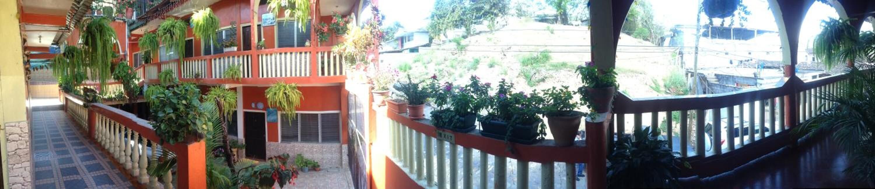 A multi-level outdoor balcony with potted plants and a view of the street.