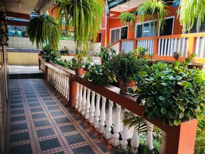 Terrein van de accommodatie