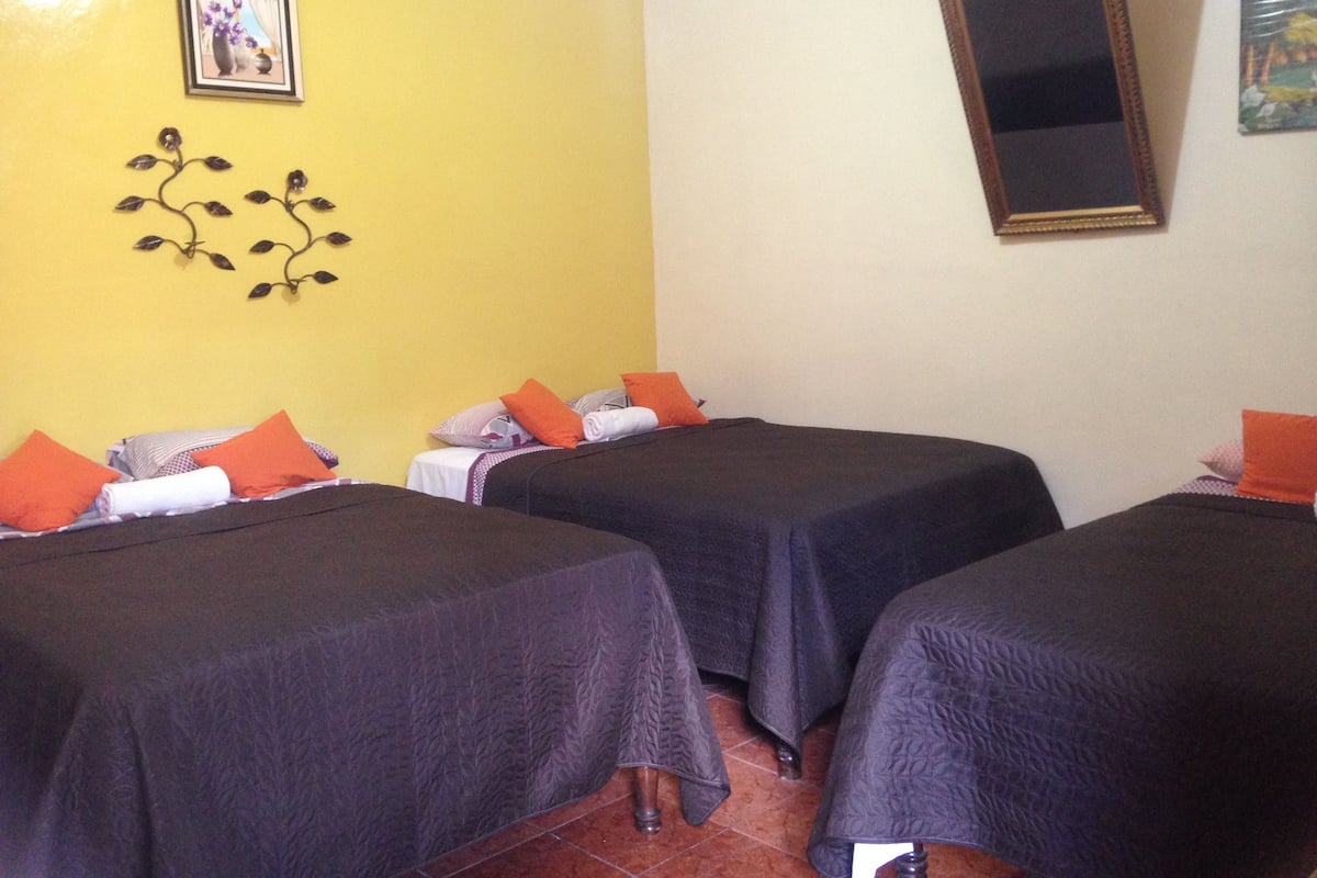 A hotel room with two single beds, each with an orange pillow and a white blanket. There is a small decorative plant on the wall and a framed picture above the bed on the left.