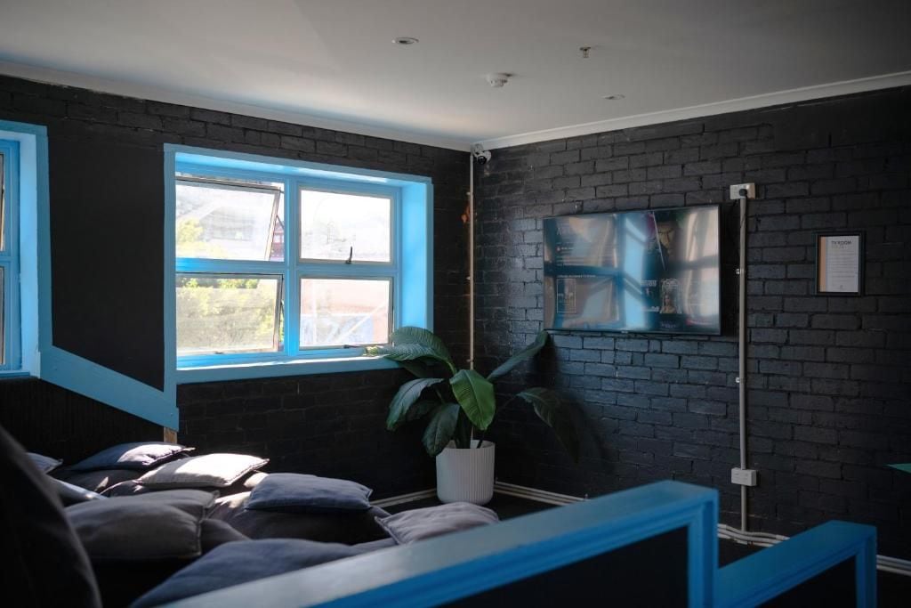 A room with a bed, a potted plant, a window, and a wall-mounted TV.