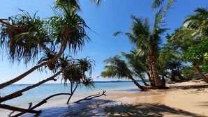 Una playa con palmeras y cielo azul cristalino.