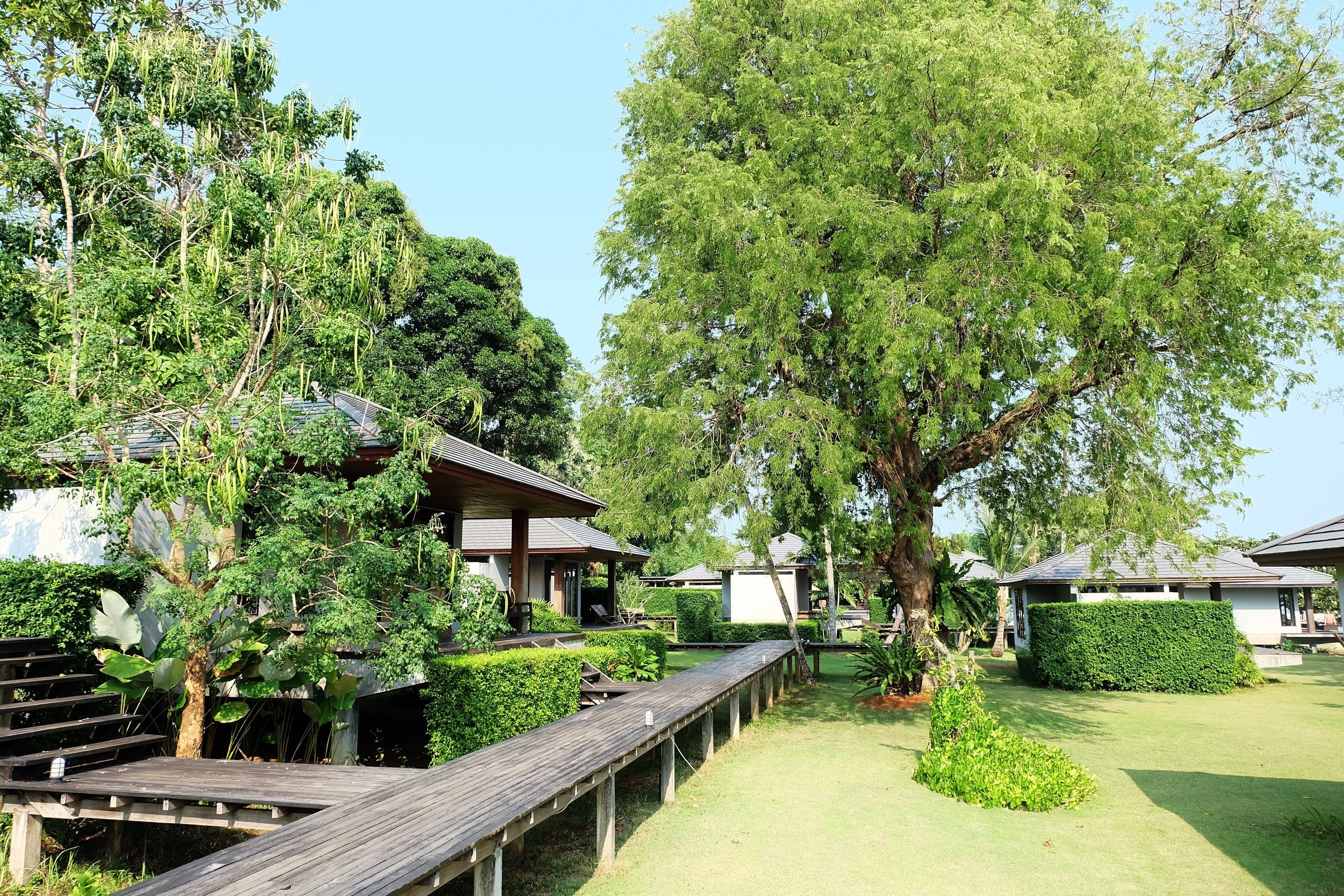 A wooden deck leading to a building with a covered porch, surrounded by lush greenery and trees.
