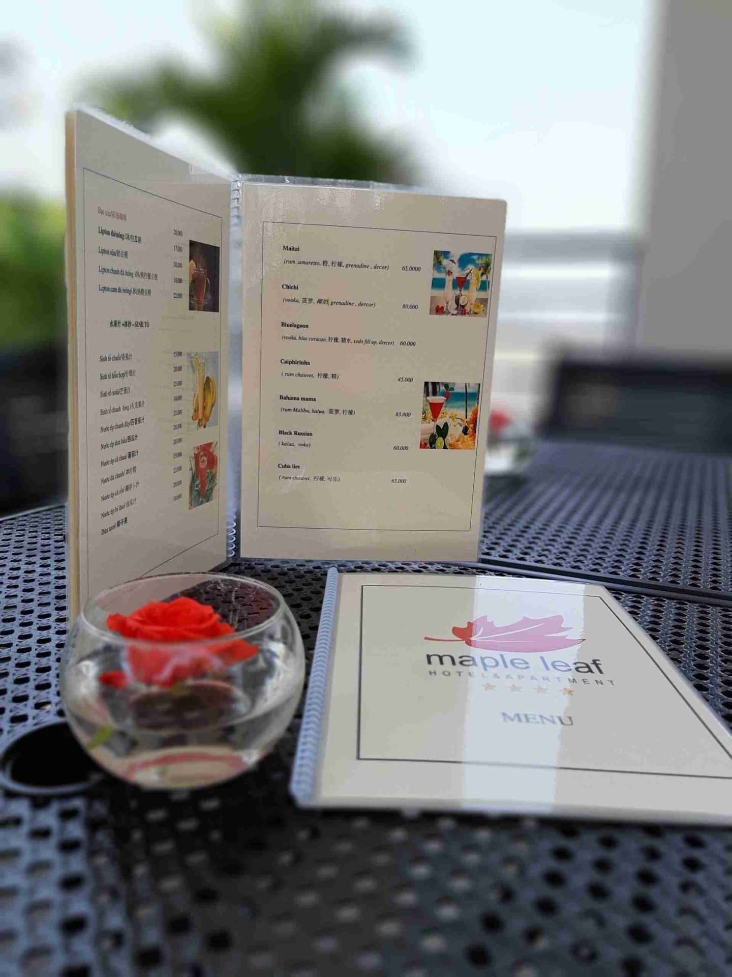 Foto - Maple Leaf Hotel & Apartment