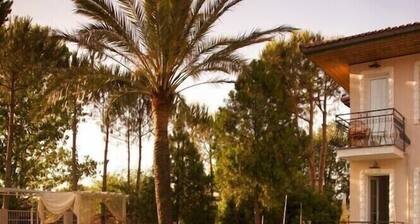 Vento Boutique Hotel