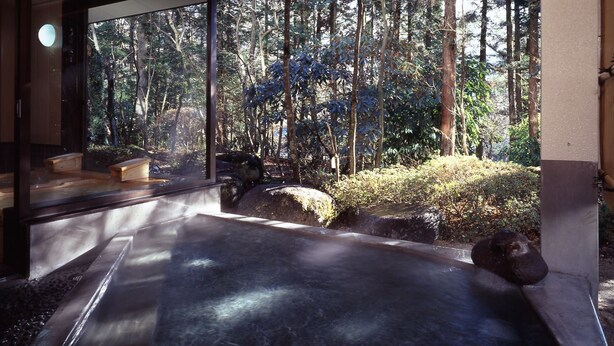A hot spring area with a view of a forest through a glass wall. - Hotel Seikoen (Nikko)