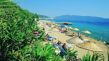 Playa privada, camastros, sombrillas y bar en la playa