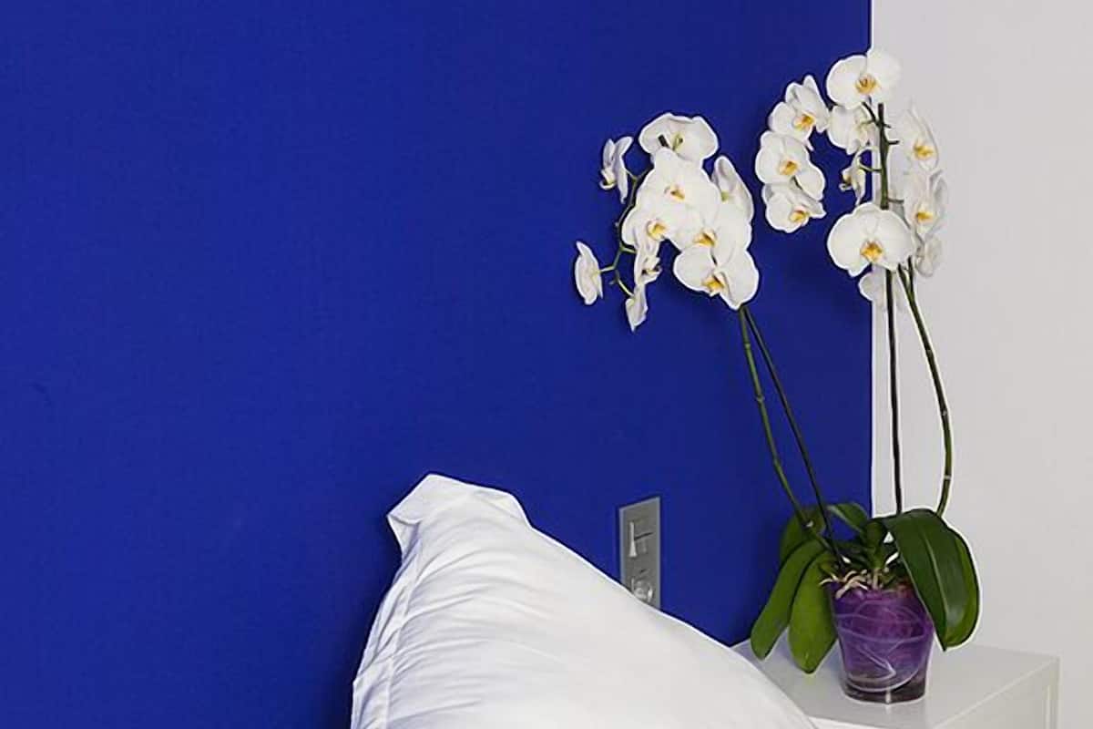 Minibar, in-room safe, desk, blackout drapes