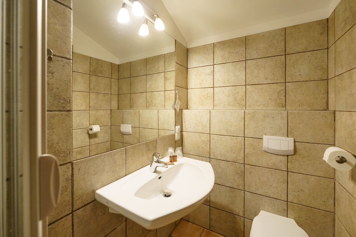 economy double room | bathroom | shower, free toiletries, hair dryer, bathrobes