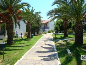 Property grounds - Terra Mare Hotel (Kefalonia)