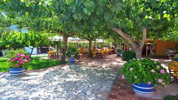 Terraza o patio