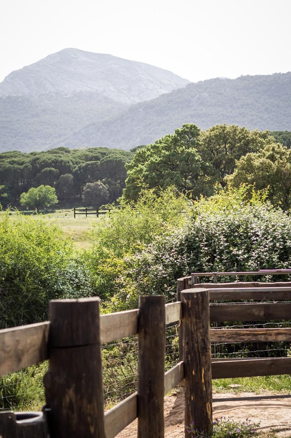 A wooden fence with a view of a mountainous landscape and dense greenery in the background.