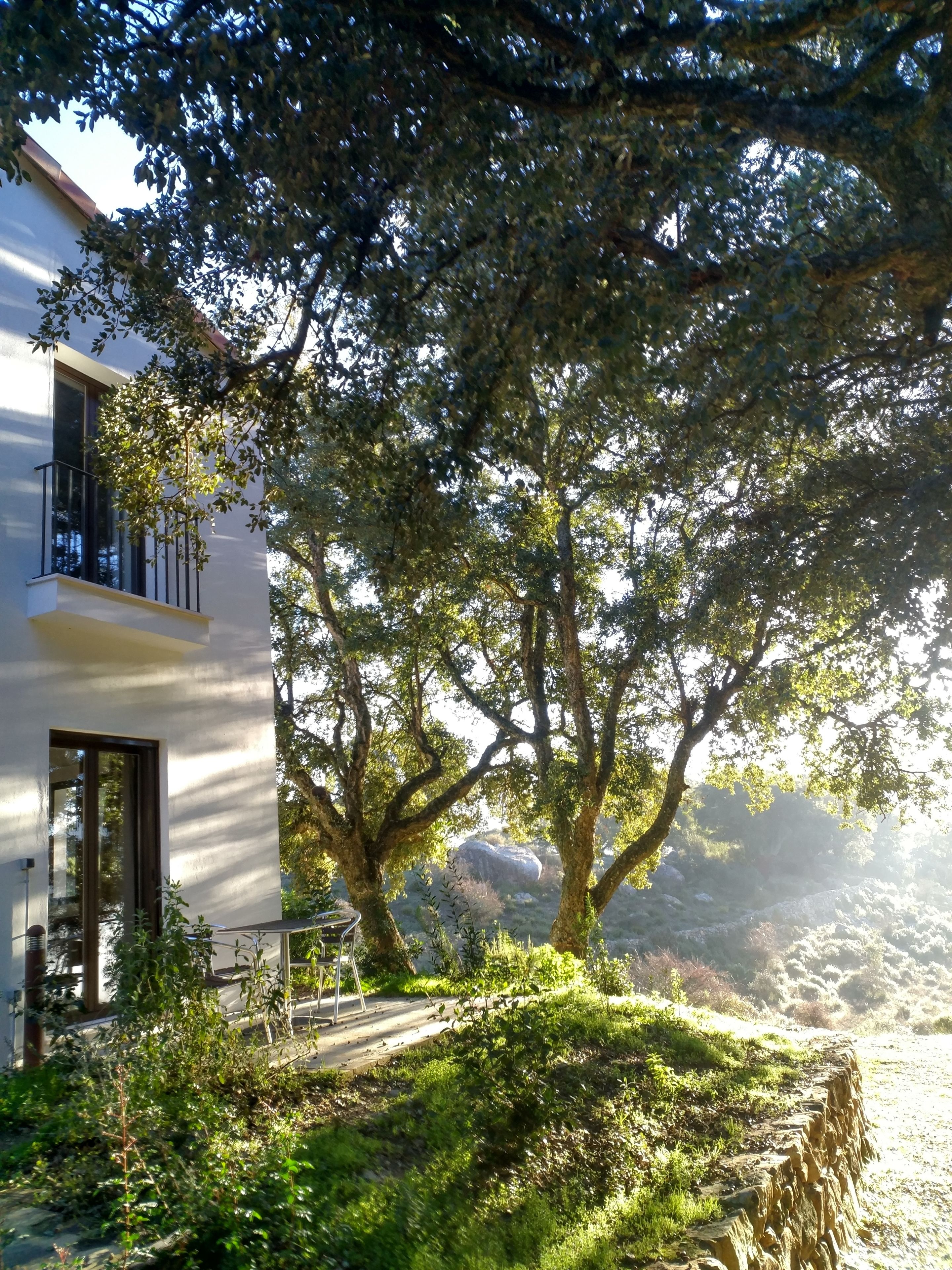 Comfort Double Room, 1 King Bed | View from room