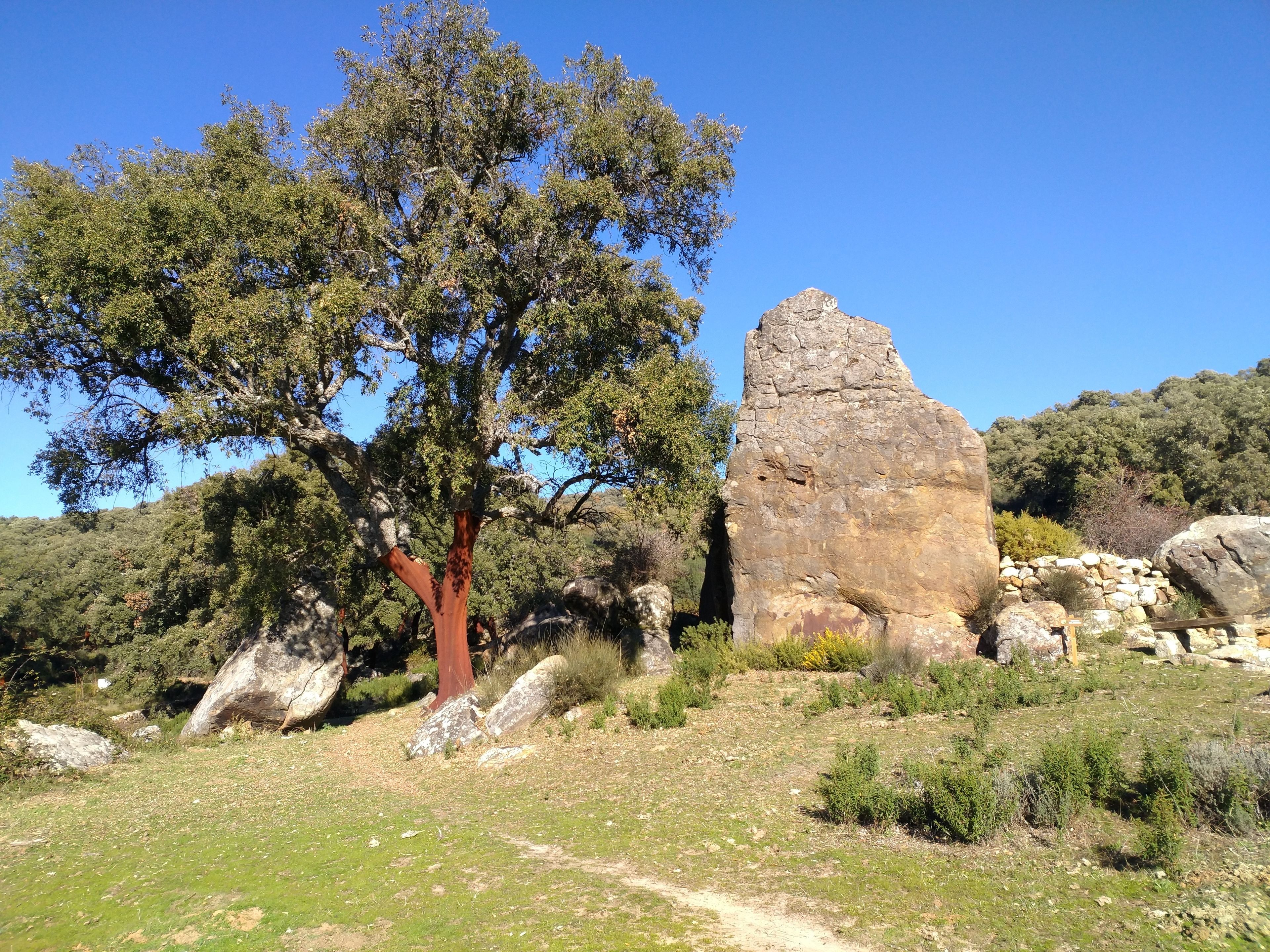 Un paisaje natural con un árbol grande y una formación rocosa.