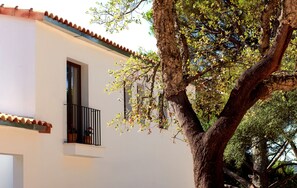 Superior Room, 1 King Bed | View from room