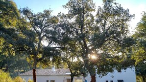 A white building with a tiled roof, surrounded by trees and greenery. - Tambor del Llano (Grazalema)