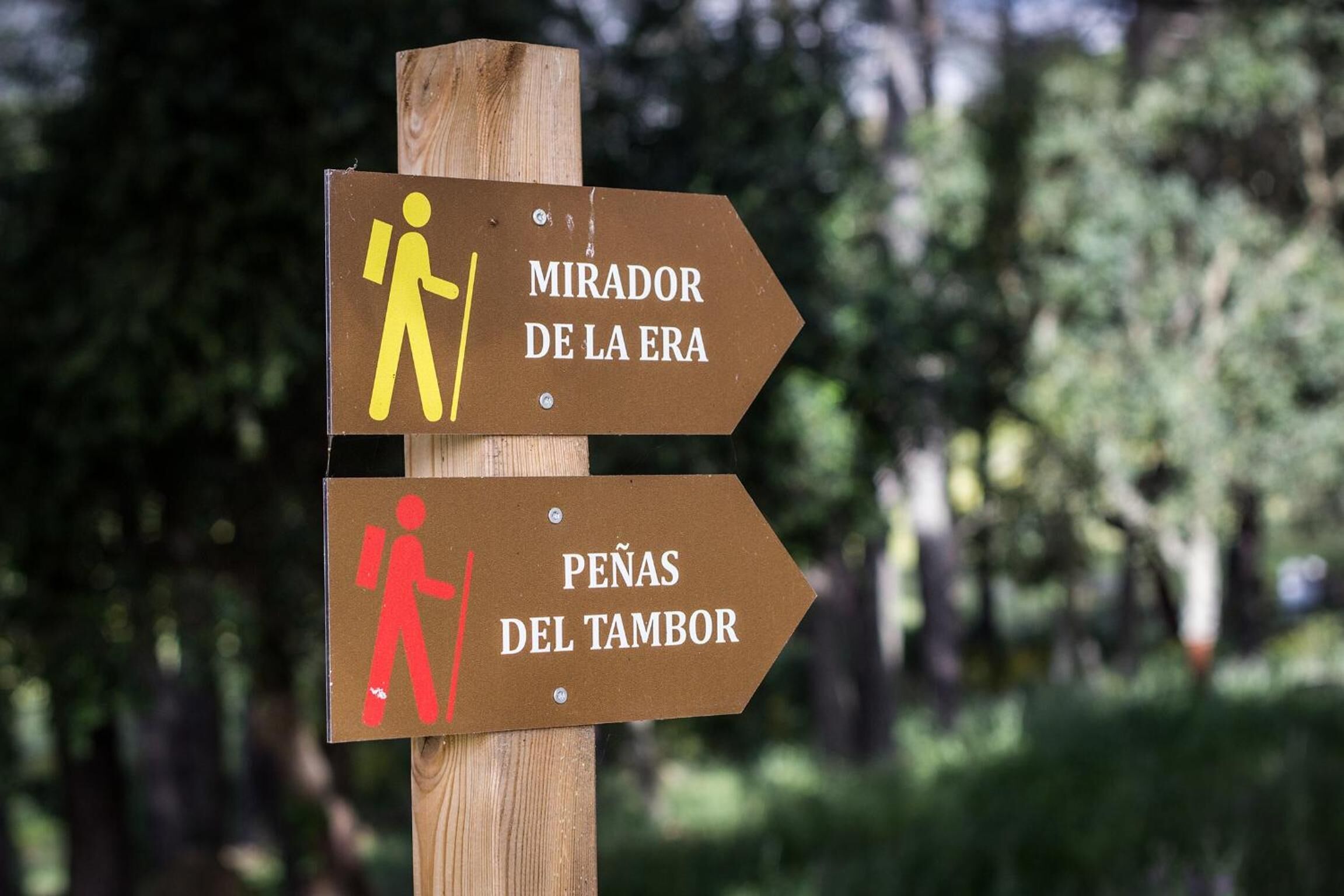 A wooden signpost with two directional signs for hikers, one pointing to 'MIRADOR DE LA ERA' and the other to 'PEÑAS DEL TAMBOR'.