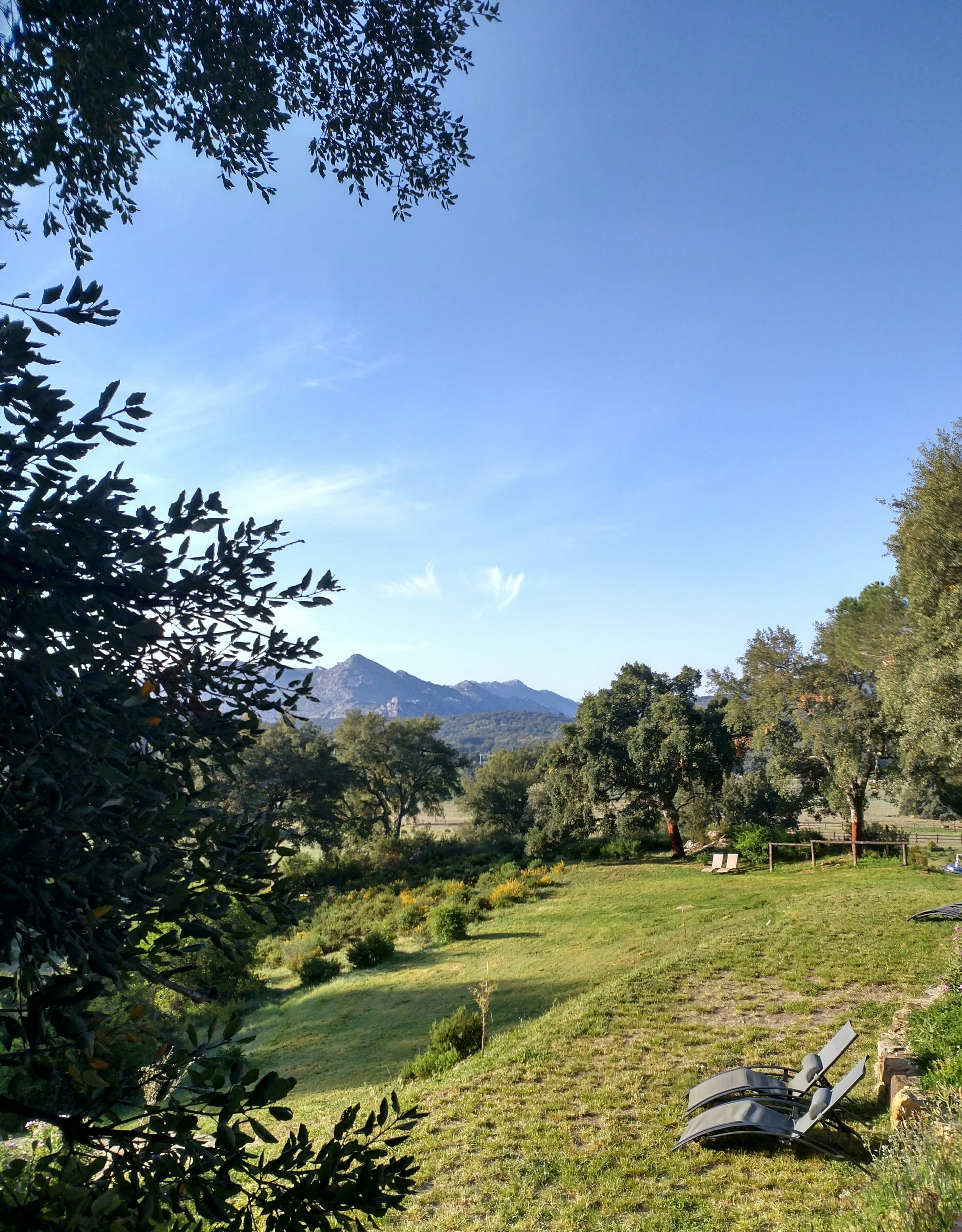 A grassy field with a mountain in the background, trees, and a few lounge chairs.